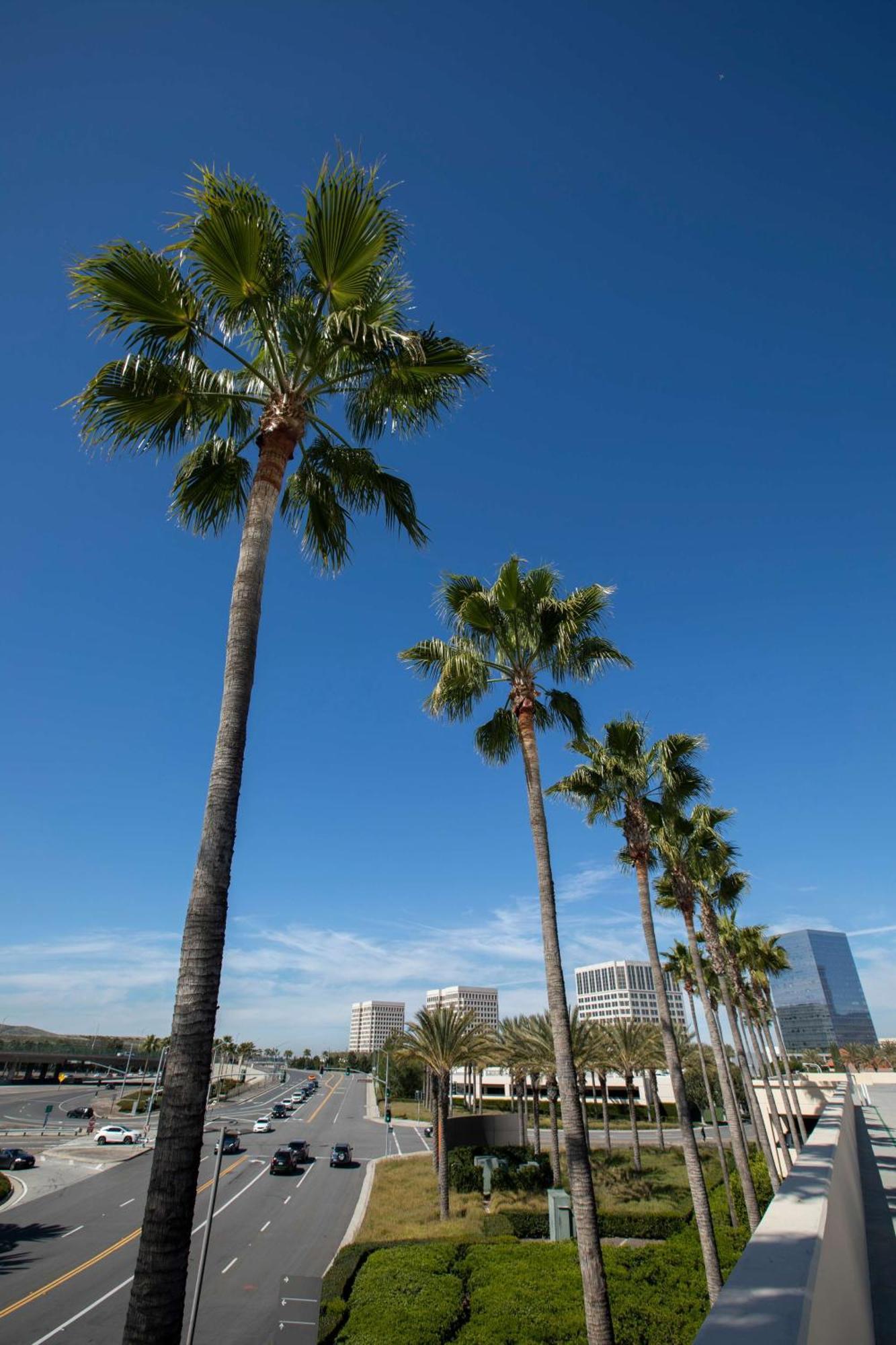 Hyatt Regency Irvine Hotel Exterior foto